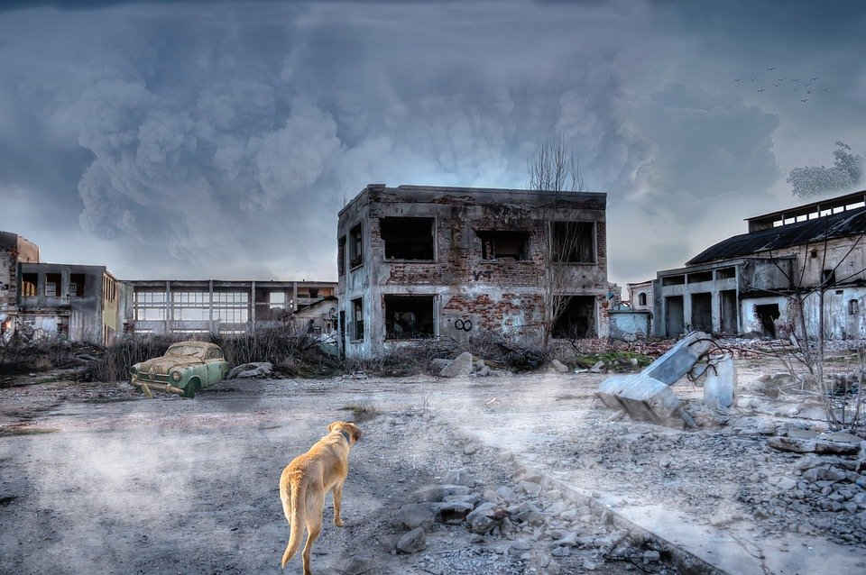 Landscape of broken buildings, with a dog running ahead