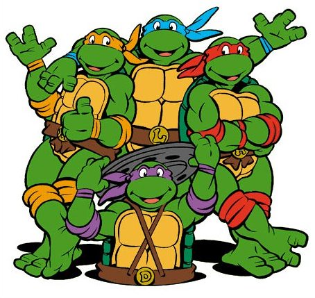 The four teenage mutant ninja turtles